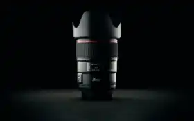 рефлекс, мартин