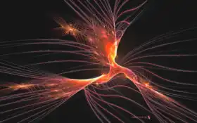 дом, стойка