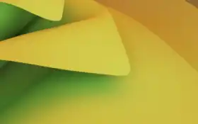 есть крупный план из зеленых и желтых обоев