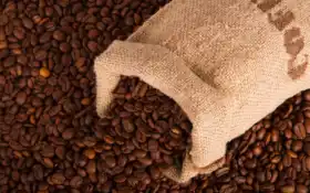 семя, кофе, еда