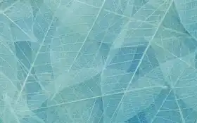 цвет, градиент, оттенок