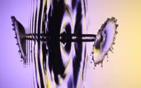 искусство, википедияартстанции, исследо-арт