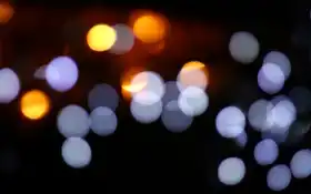 свет, брюнетки, мазат