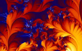 феникс, перья, феникса