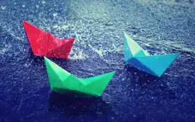 турки, бумажные, лужа