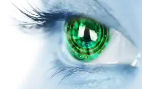 галерея, фин, стоковый