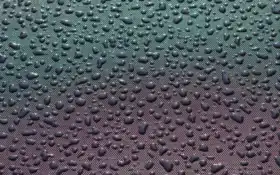 капель, вода, коврик