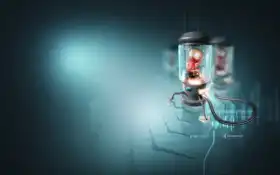 премиум, премиальный