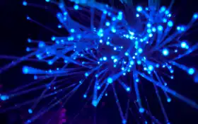 сверху куча синих огней на дереве