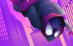 мужчина, паукъ, миля