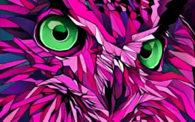 сова, рубашка