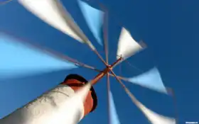 протарас, интегр, и