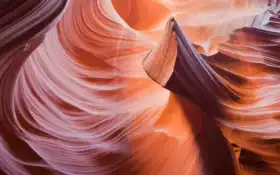 каньон, скала, антилопа