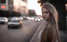 поливода, ночной звонок, кавер