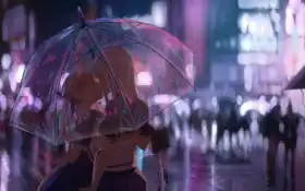 статус, размер