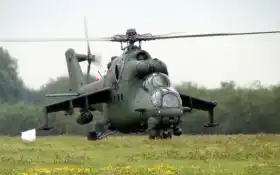 поланд, мил