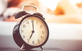 черный будильник сидит на кровати с собакой, спящей на заднем плане