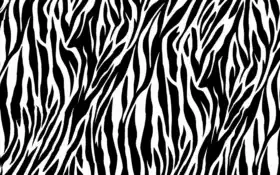 печать, зебра, животное