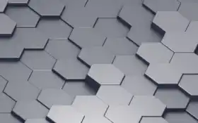 голосование, блоко, дебаты