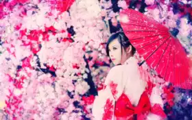 японки, гейша, твиттер