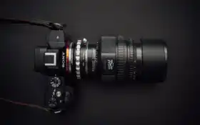 соня, черный