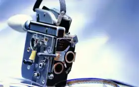 стрельба, исследование, пост