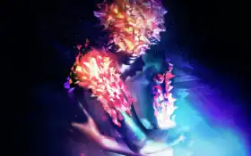 luminarium, dps, cover