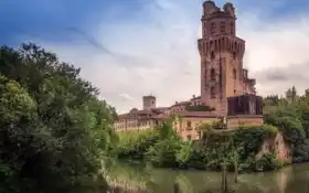 observatory, башня, дерево