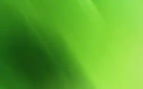 зелёный, пожарный, лист