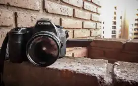 цифровой, цифровой