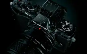 makryi, оптилии