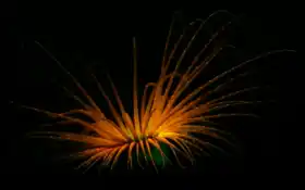 галерея, новые, озеро