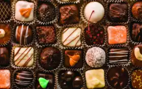 закрытие коробки шоколада с различными вкусами