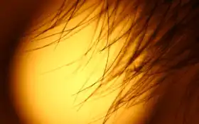 солнце, фото, кат