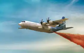 мартин, локоть