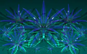 стекло, рабочий стол, цветы