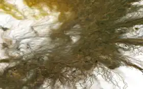 есть рядом дерево без листьев