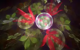 фрактал, абсолютная