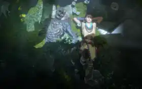 расовое, горное соединение, ноль