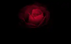 красный, амолированный, черный