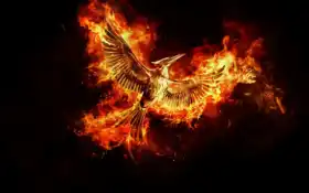 игры, голод, насмешки