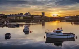 "сандерленд", "сандерленд"