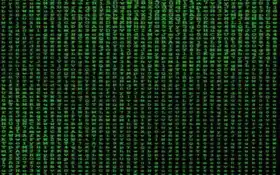 зеленый экран компьютера с цифрами и символами