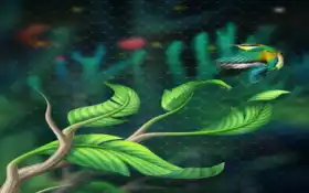 сетчатка, vikipediyayacheistyi, топология