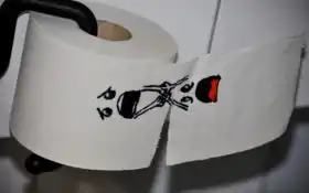 туалетная бумага с рисунком кошки и рыбы на ней