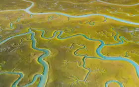 насмешка, остров, река