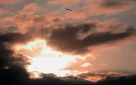 цвет, цвет, цвет