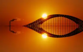 ключевые слова, мост, следующий