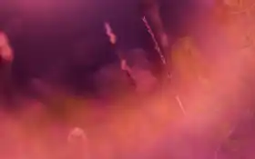 премиум, а.е