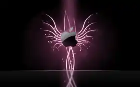 яблоко, экран, любовь 115323 разрешение 1920x1200